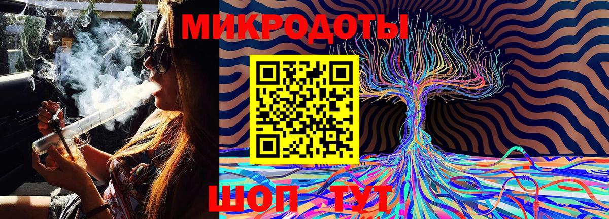 Галлюциногенные грибы Psilocybine cubensis Майский