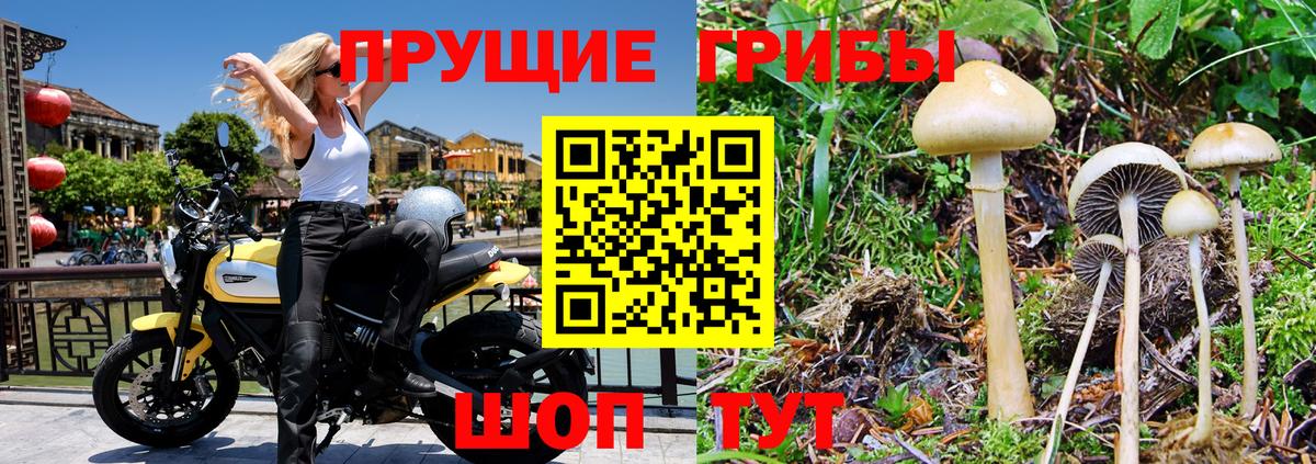 Майский  Псилоцибиновые грибы MAGIC MUSHROOMS  Вход с VPN 